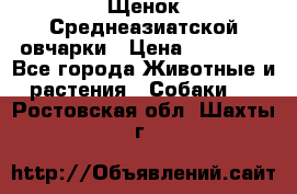 Щенок Среднеазиатской овчарки › Цена ­ 35 000 - Все города Животные и растения » Собаки   . Ростовская обл.,Шахты г.
